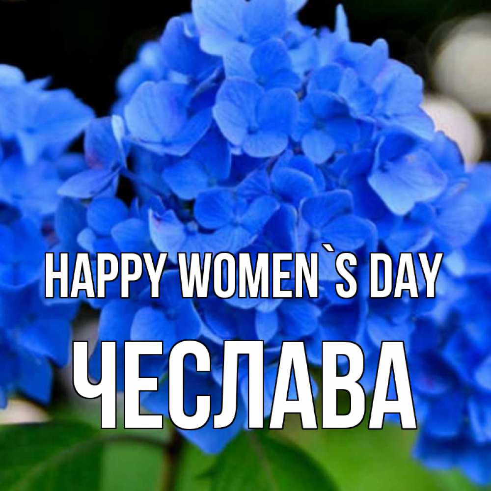 Greetings card с именем, Чеслава happy women`s day синие цветы Greetings with text for free download 